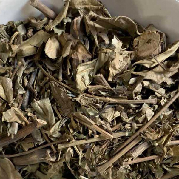 Trà hoàn ngọc khô - Tấn Phát túi lớn loại 500g - hỗ trợ cải thiện hệ tiêu hóa