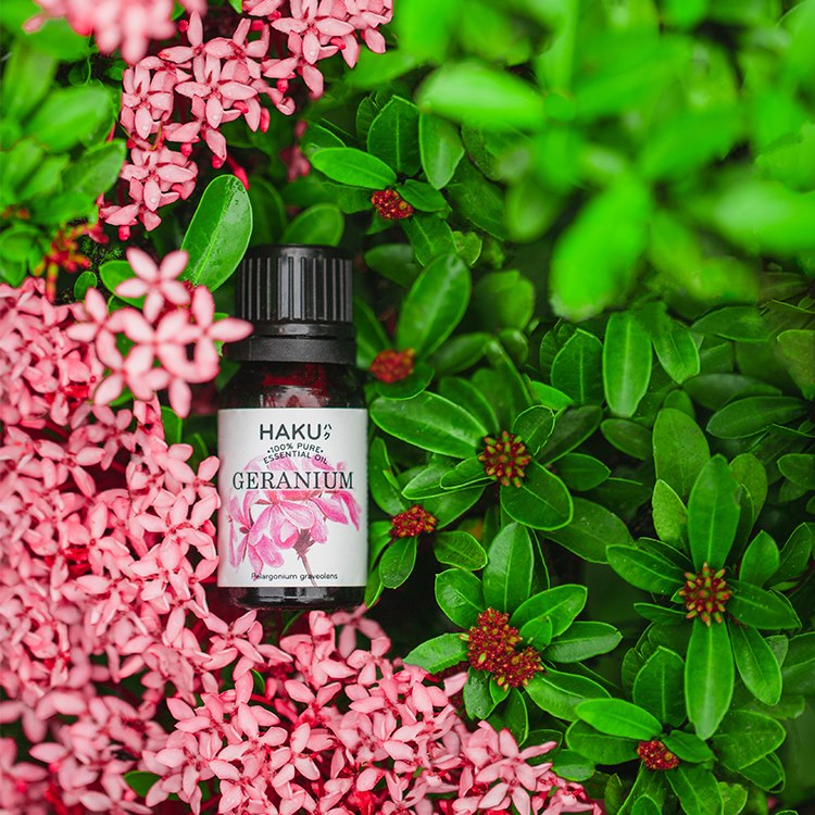 Geranium Essential Oil