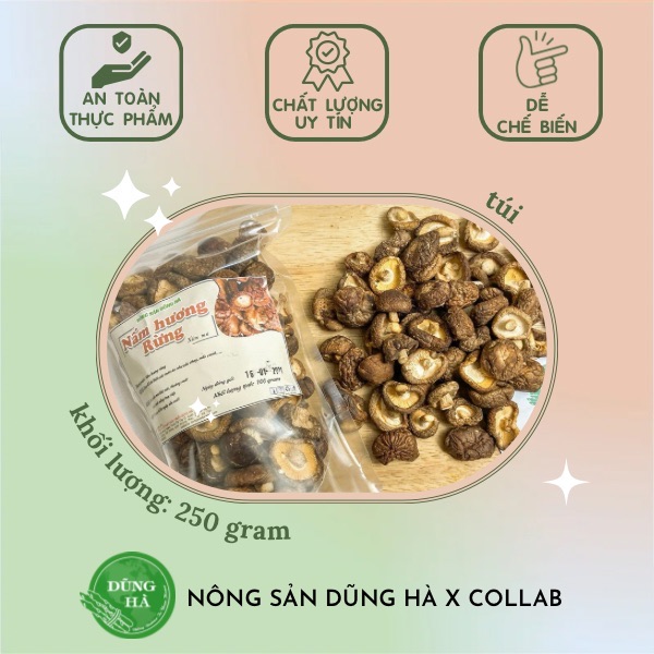 Nấm hương rừng Tây Bắc