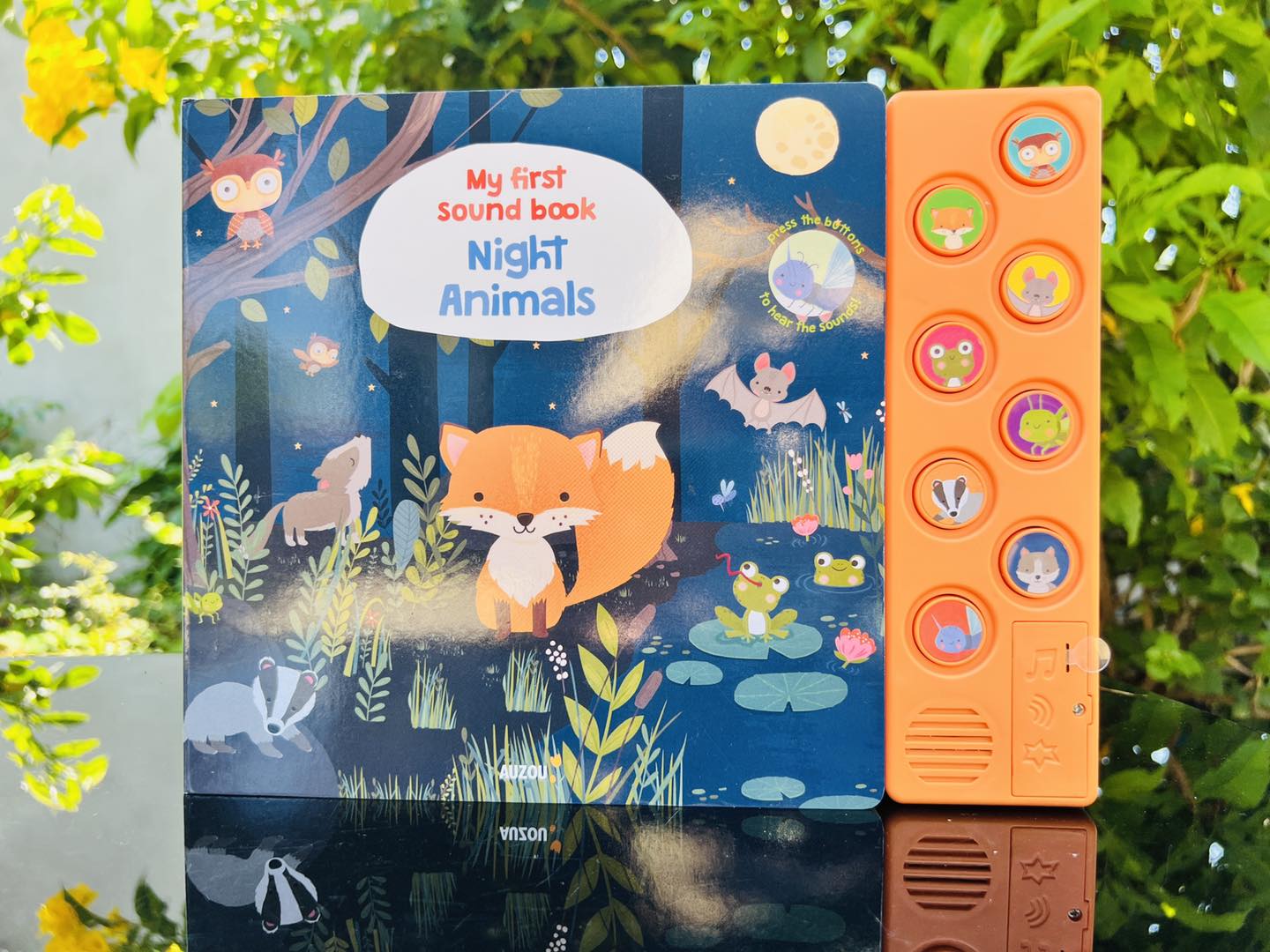 MY FIRST SOUND BOOK: NIGHT ANIMALS