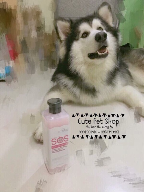 Sữa tắm SOS chuyên dụng cho cún mèo🐶🐱