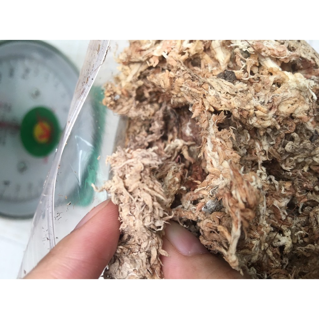 Dớn trắng Chile (dớn mềm) chất trồng hoa lan 100gr