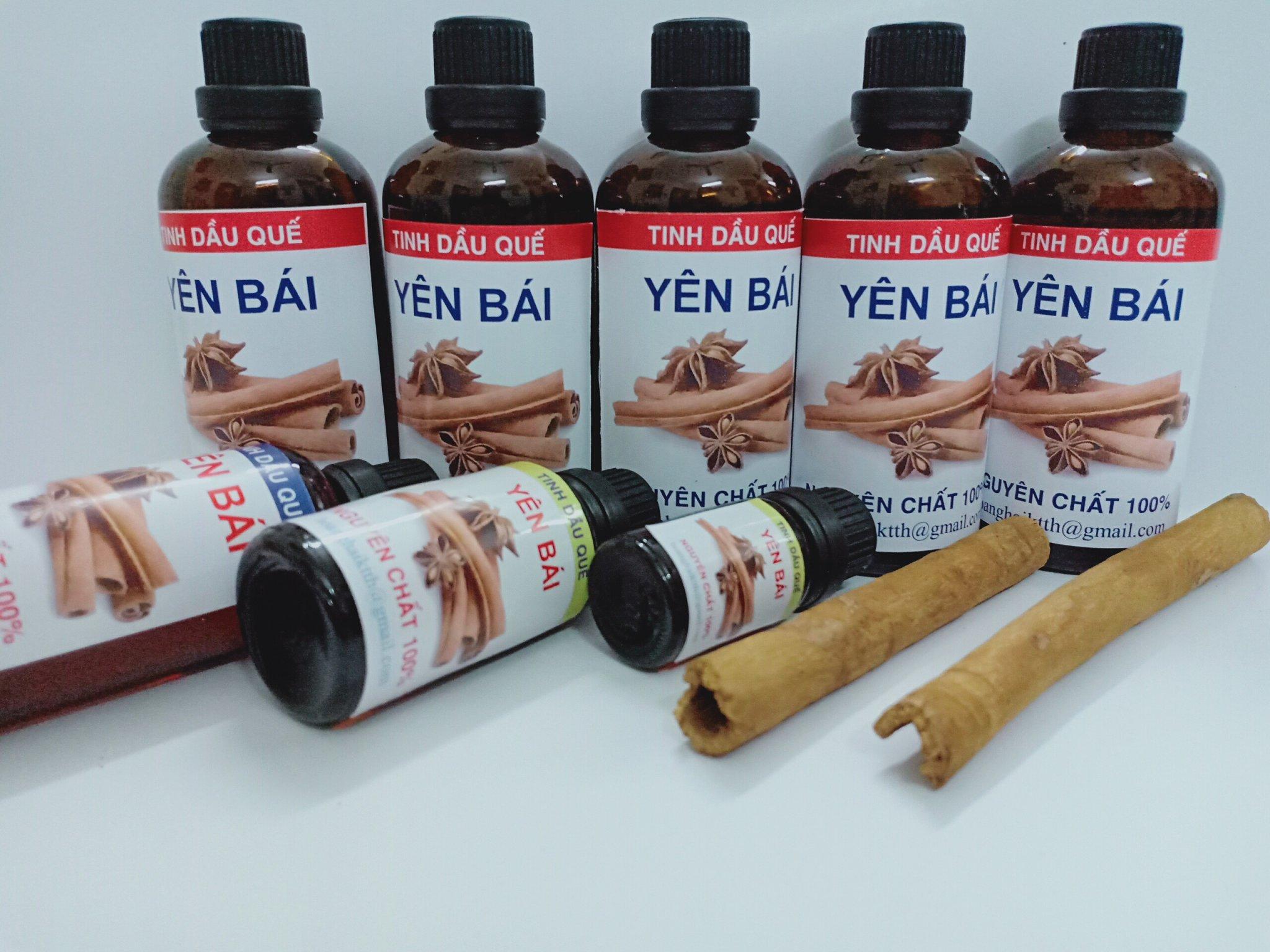 tinh dầu quế nguyên chất Yên Bái