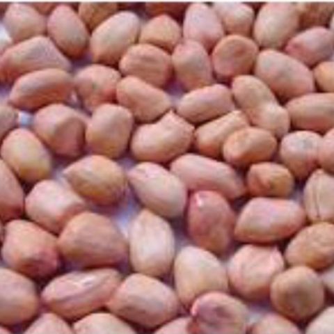 1 kg lạc vườn