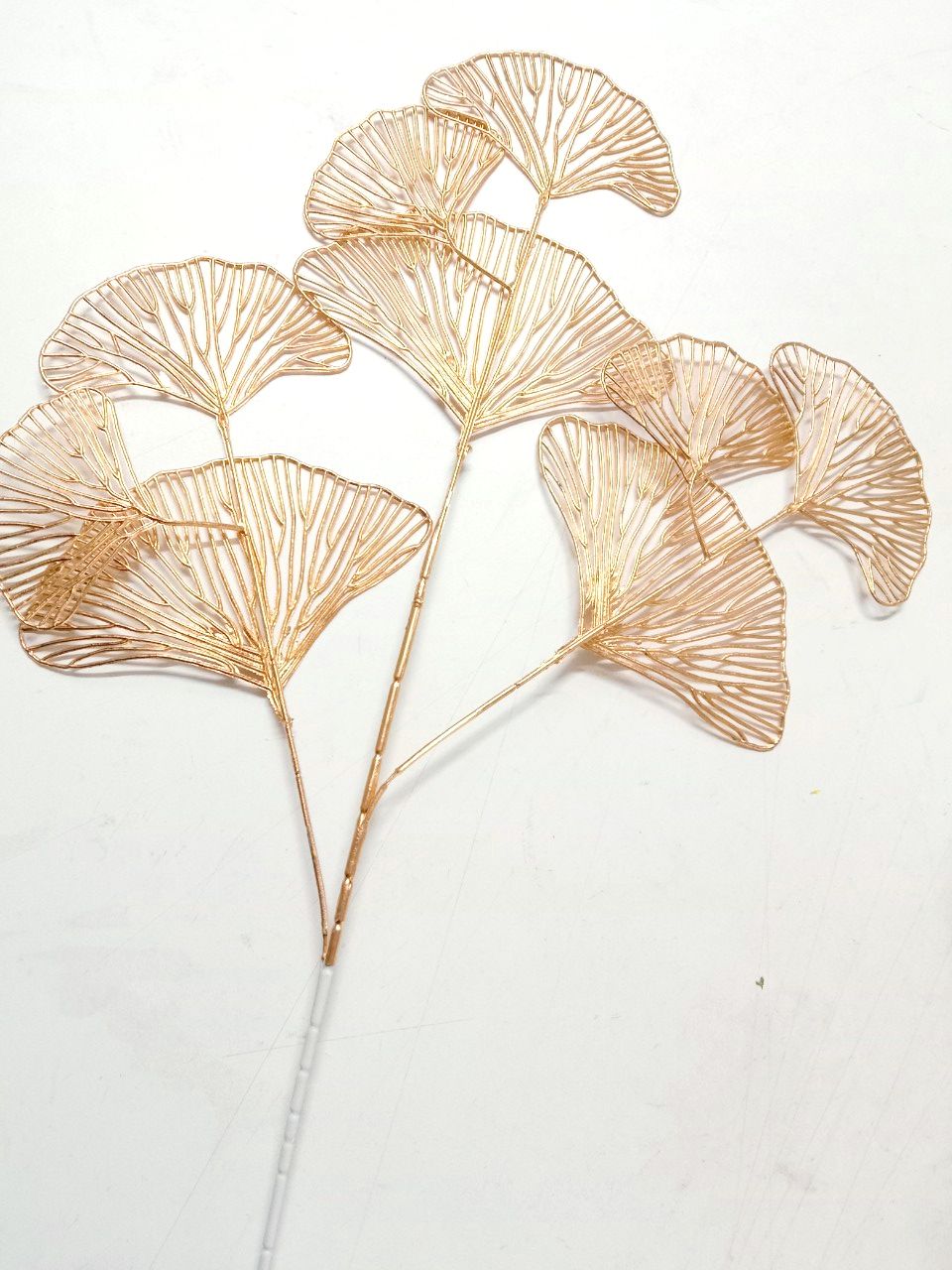 rẻ quạt, cành vàng trang trí tết