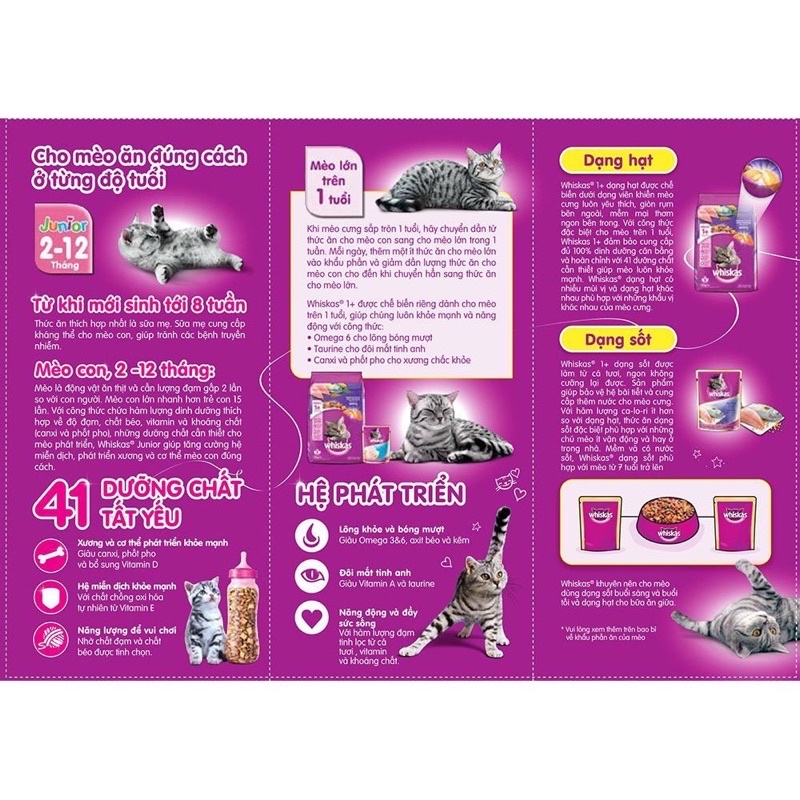 Pate Whiskas Cho Mèo 😻