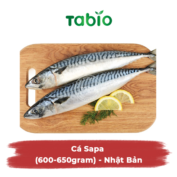 HCM - Cá Sapa (600-650gram) - Nhật Bản - TABIO