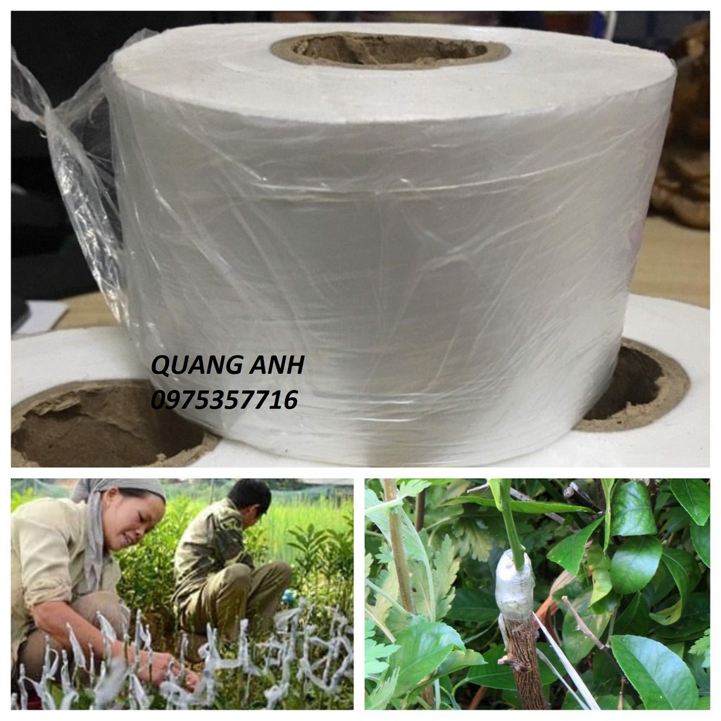 [FreeShip] {5x10cm} Băng Nilon Ghép Cây Giống Tự Hủy