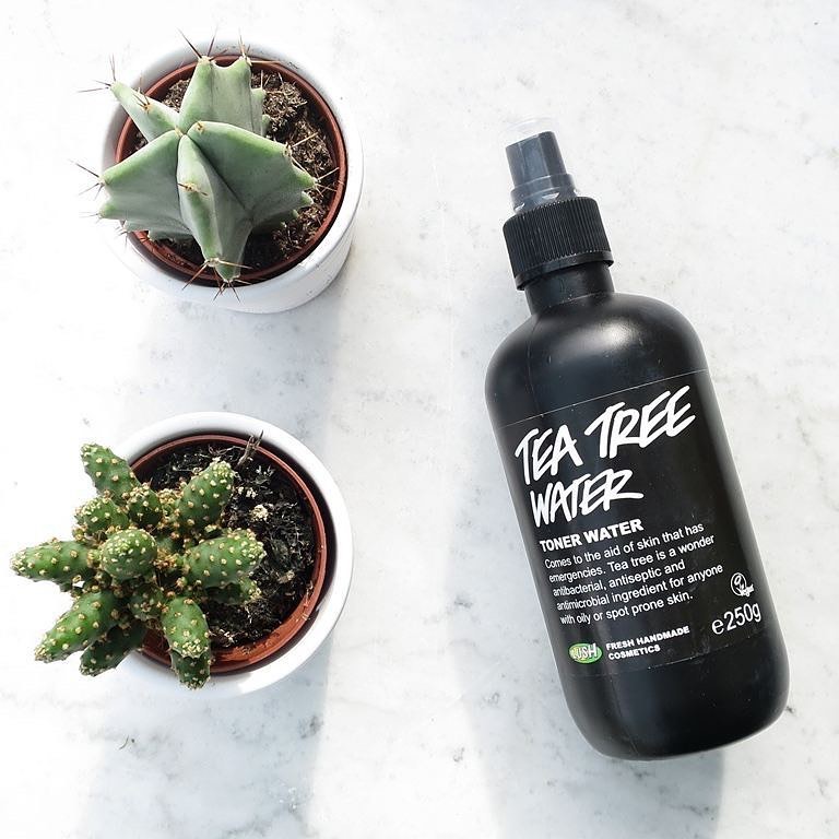 [HCM]Nước hoa hồng LUSH - Tea Tree Water toner water