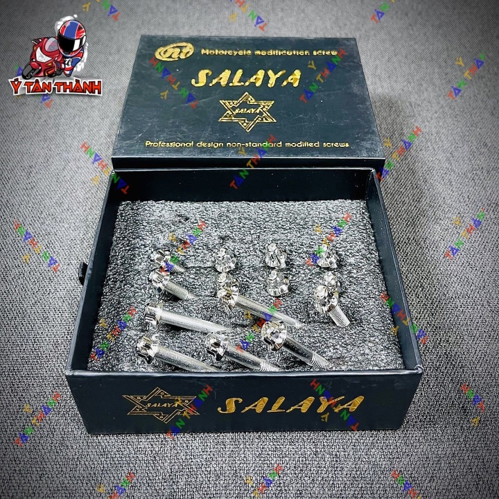 Bộ Ốc Lốc Máy Salaya Vision 2017 14 Con