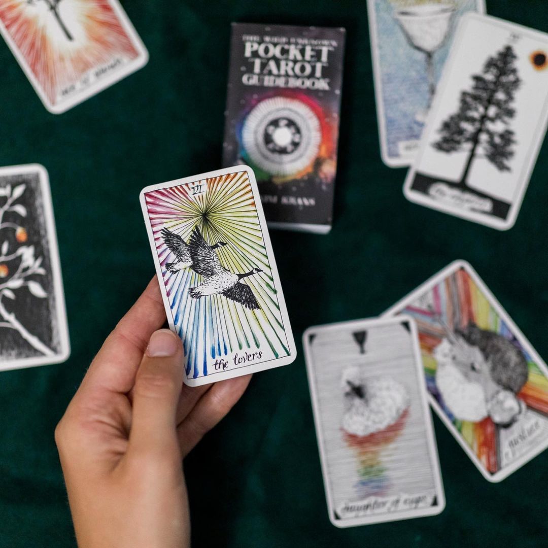 The Wild Unknown Tarot Pocket