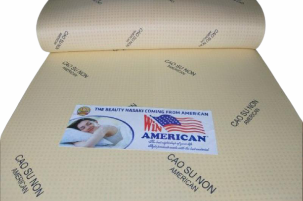 Nệm 1m6 x 2m x 10cm cao su non american. tẳng 2 gối hơi cao cấp