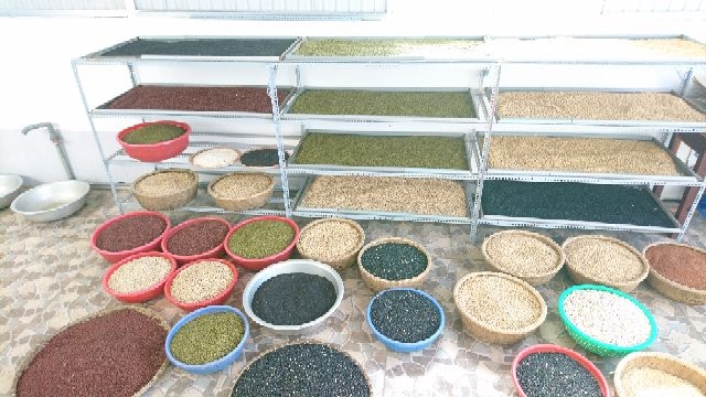 1kg ngũ cốc 12 loại hạt thơm ngon