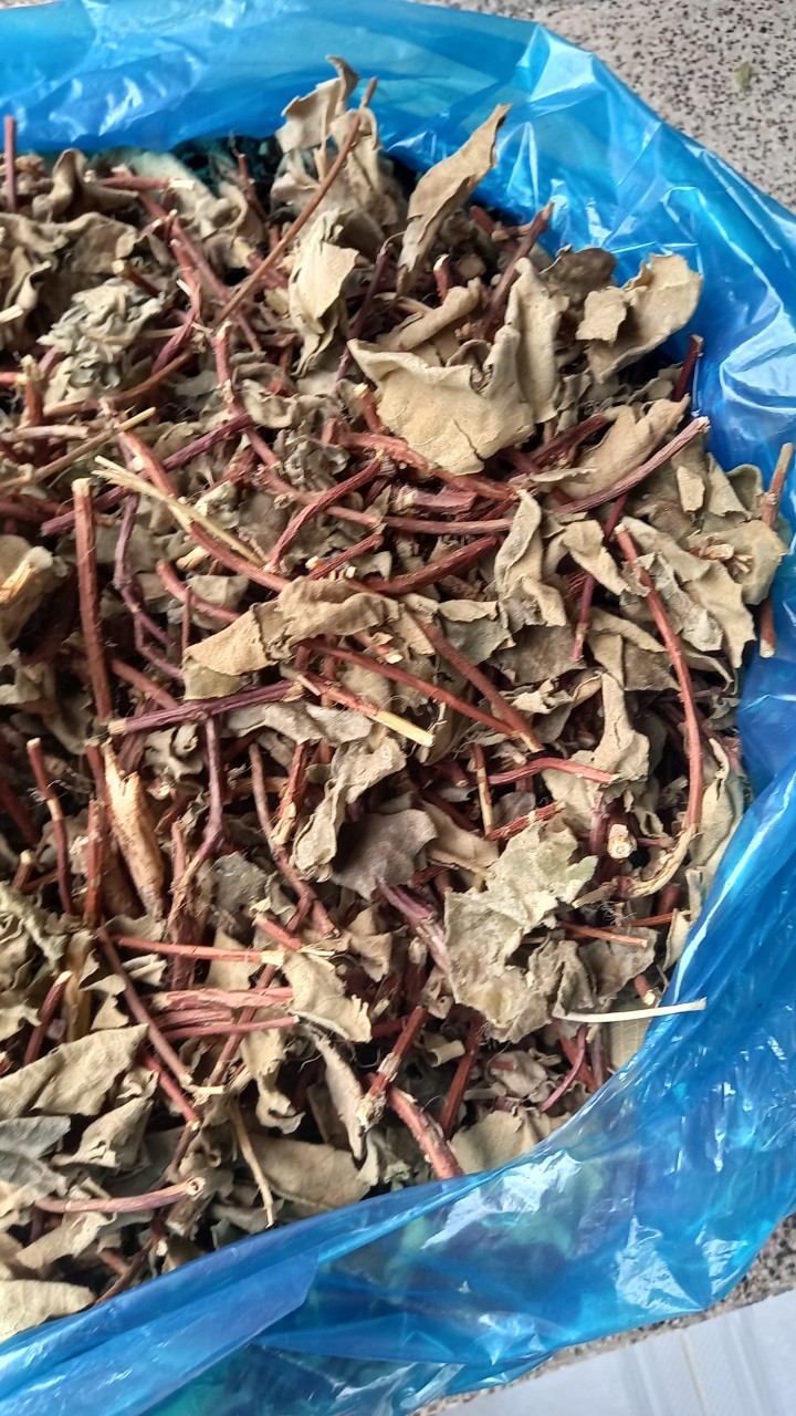 Cây lá hà thủ ô khô / 1kg