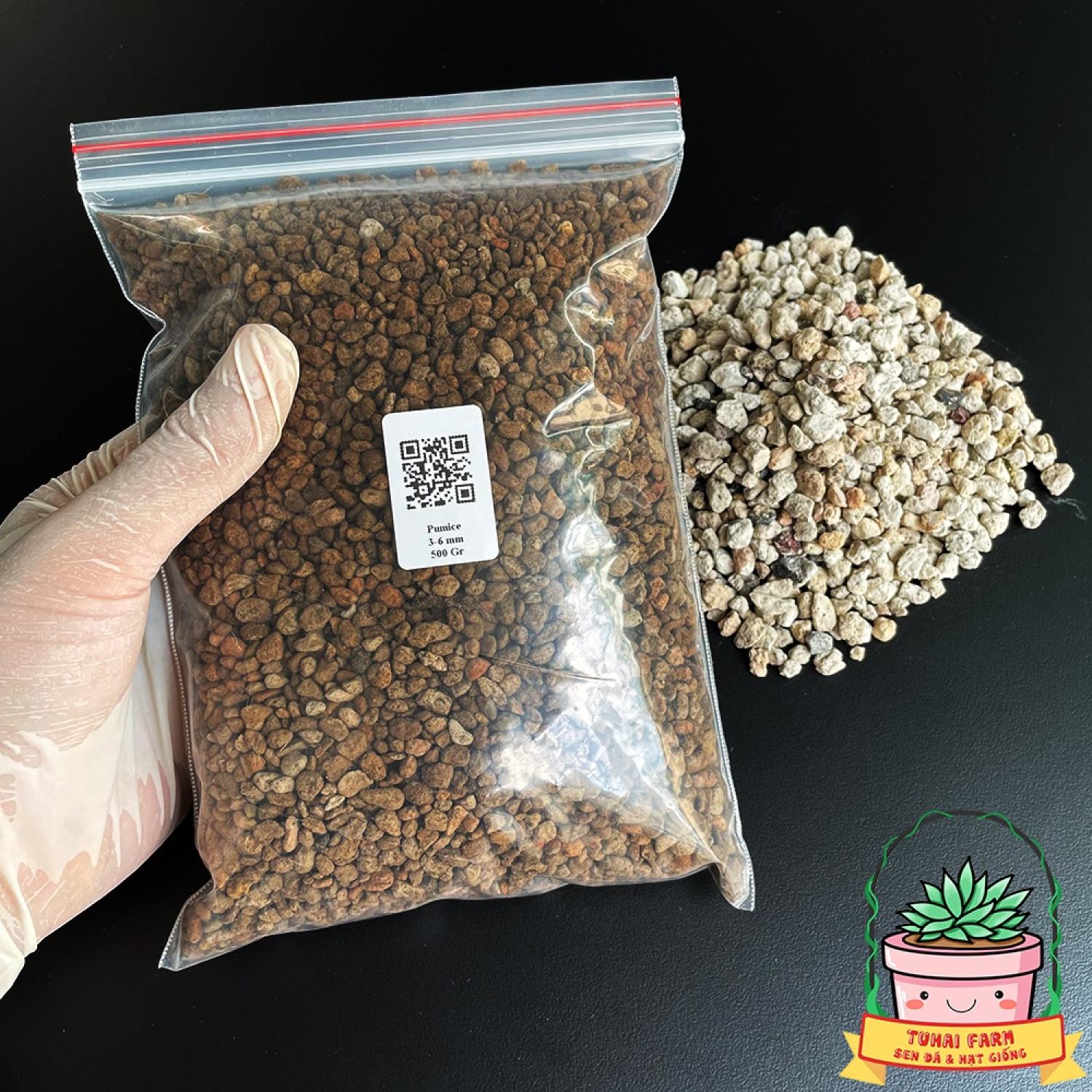 Đá Pumice Indonesia cao cấp sạch bụi vụn