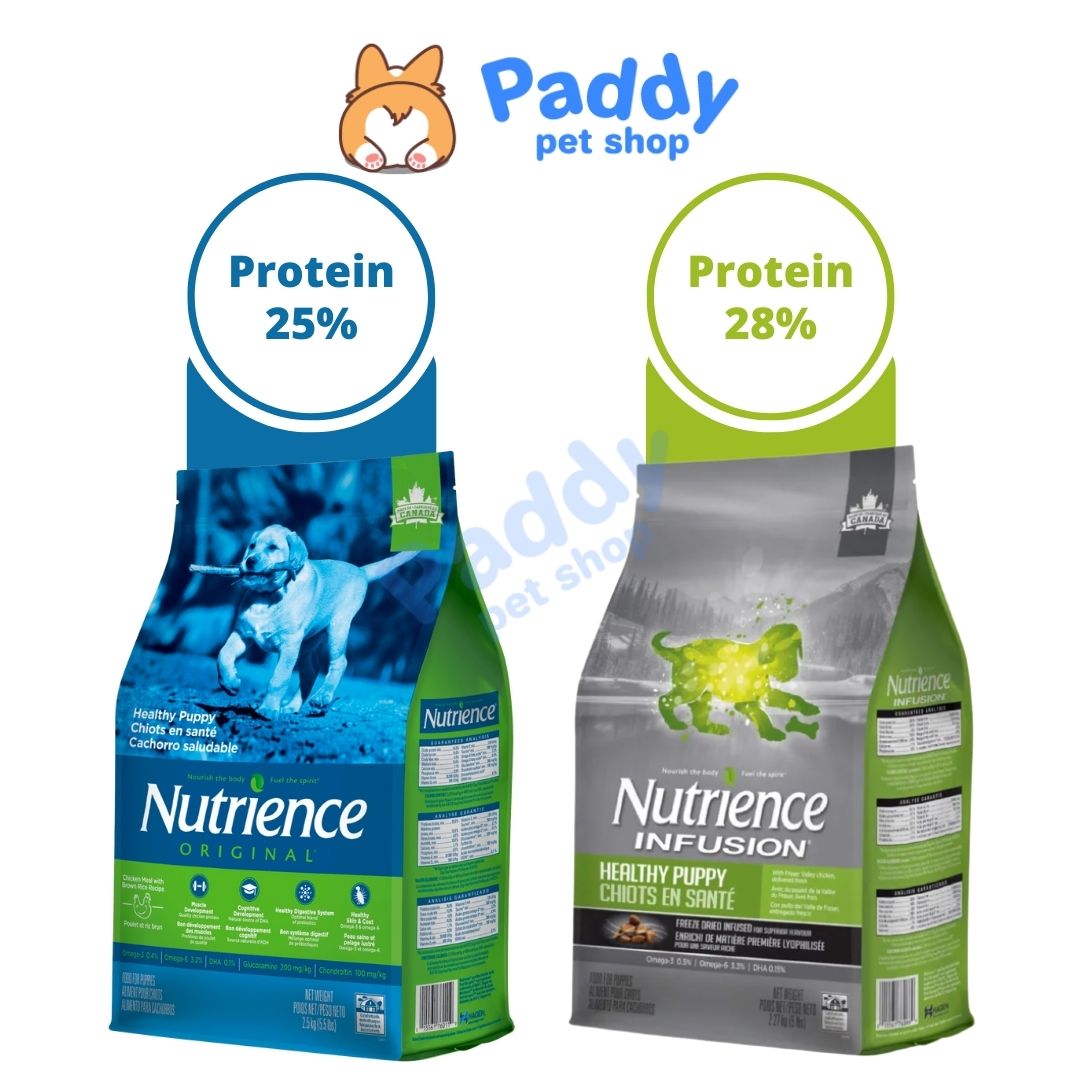 Hạt Nutrience Infusion Puppy Chó Con
