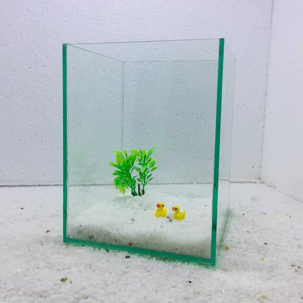 Bể cá mini để bàn , bể cá thủy sinh mini 18x18x23cm
