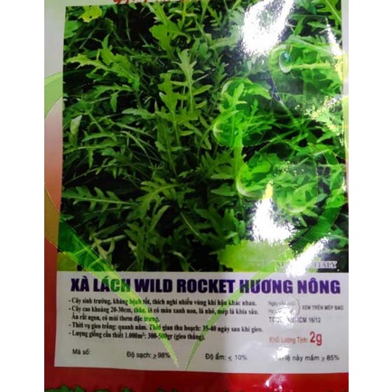 Hạt giống xà lách Rocket - gói 2 gram