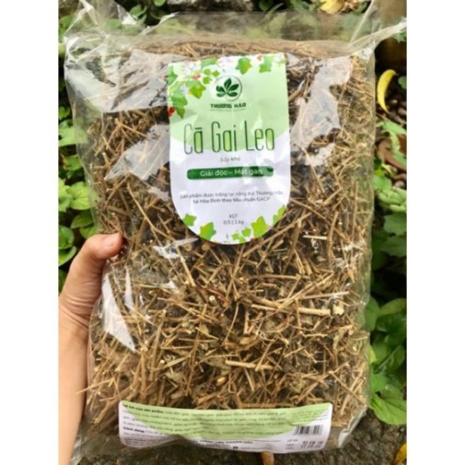 sỉ toàn quốc 1kg cà gai leo khô