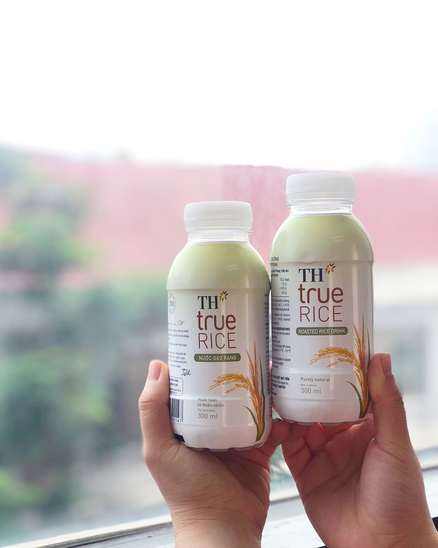 Nước Gạo Rang TH true RICE 300 ml