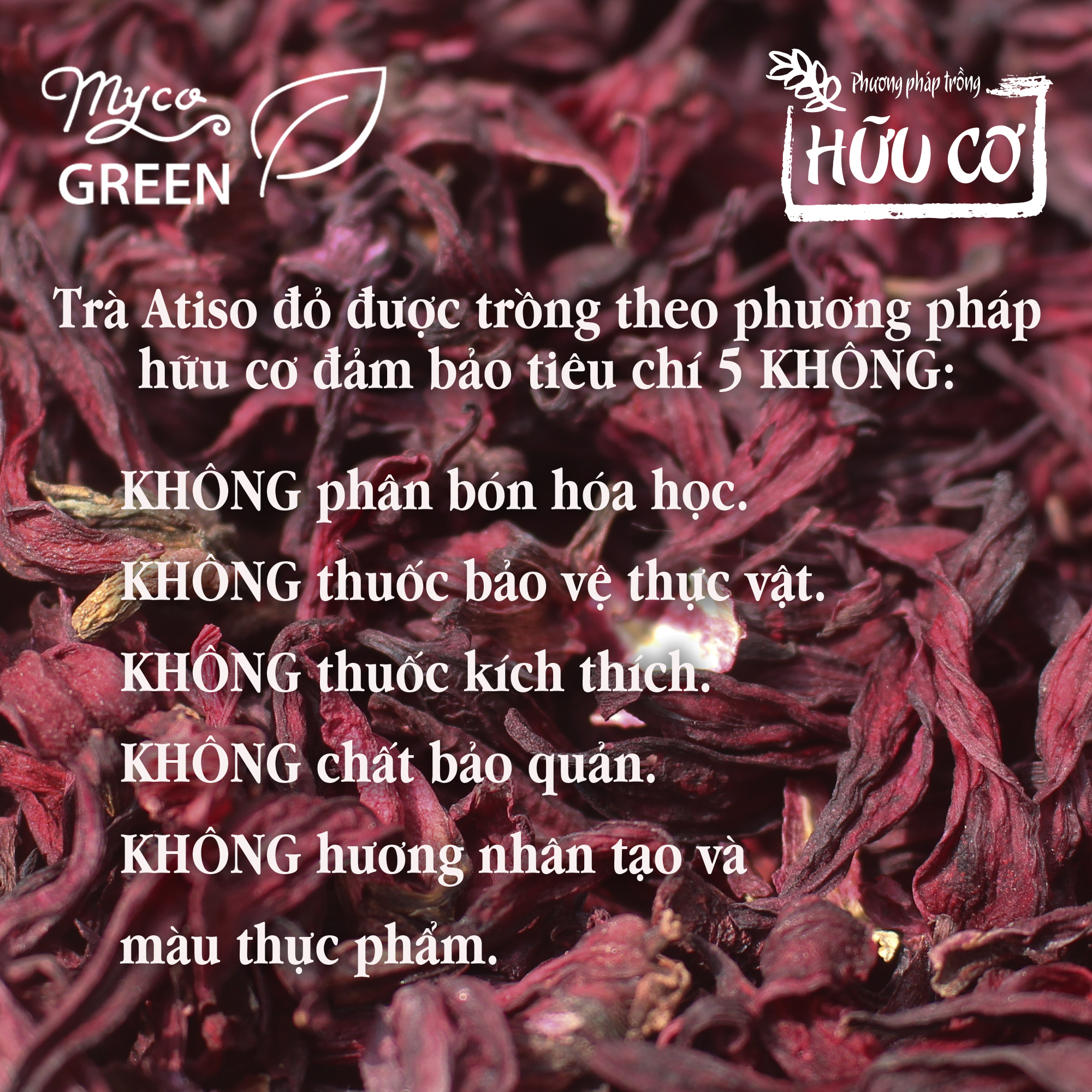 MycoGREEN, Trà Thảo Mộc Hoa Atiso Đỏ, PP trồng Hữu Cơ (10g)