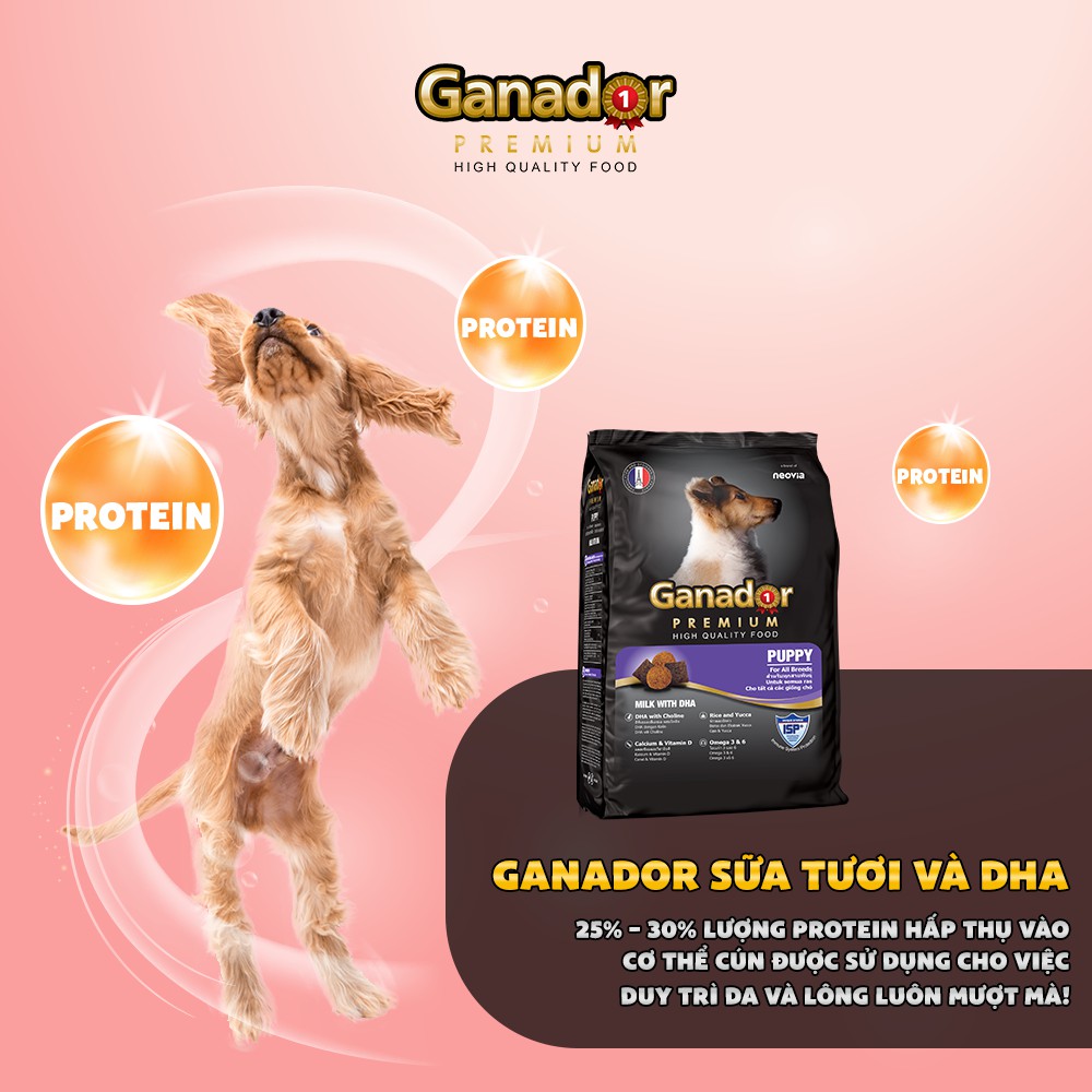 [HCM][Combo 5] Hạt Ganador Cho Chó Con - Sữa & DHA 400g