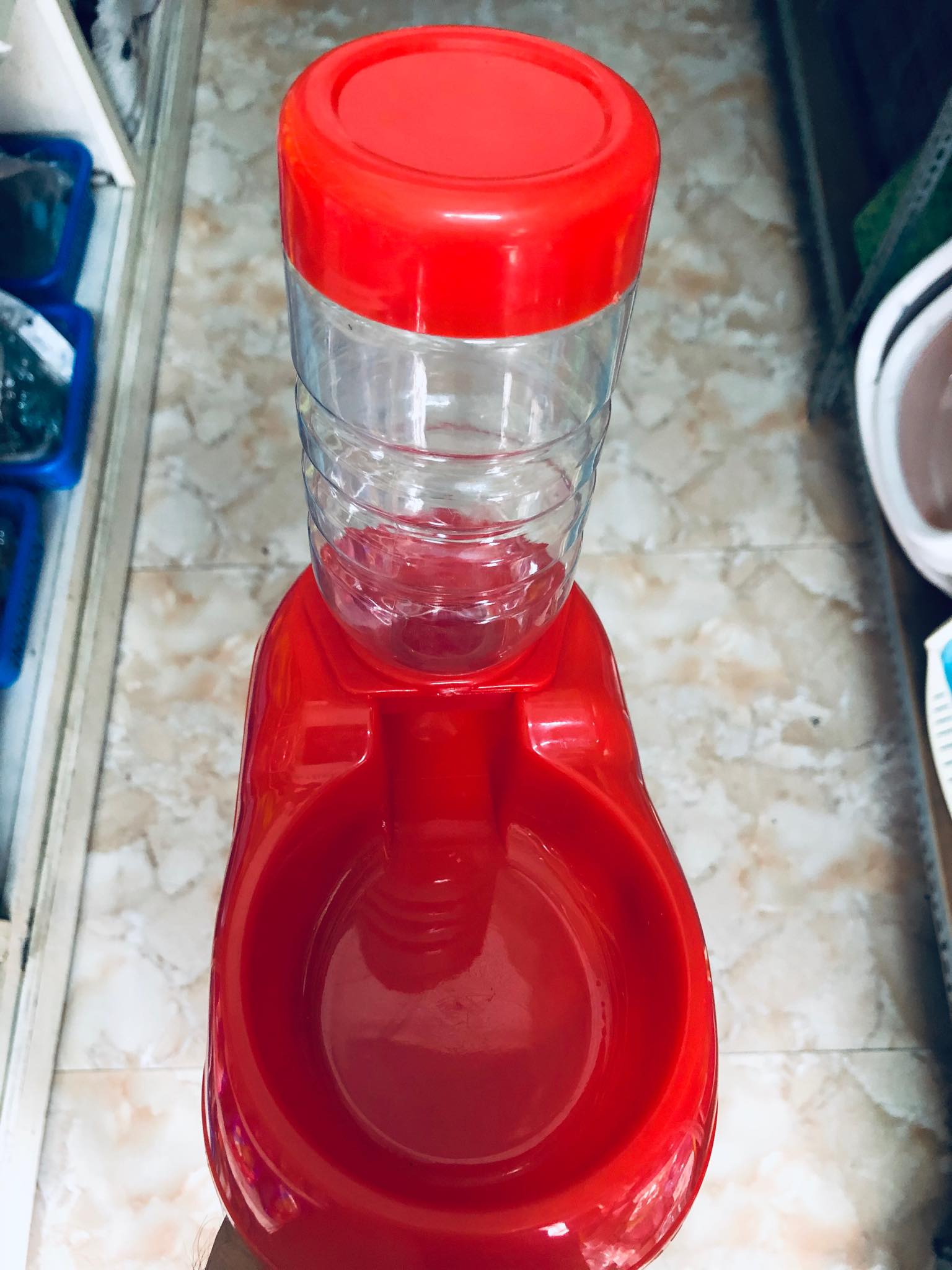 Khay uống nước tự động nhỏ cho chó mèo