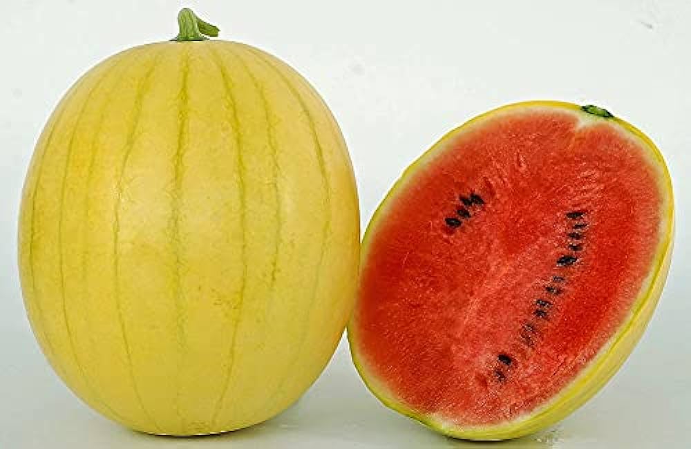 Hạt Giống Dưa Hấu Da Vàng ( Kim Hồng )