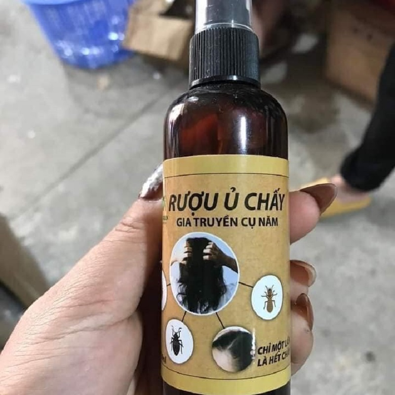 Rượu ủ chấy gia truyền