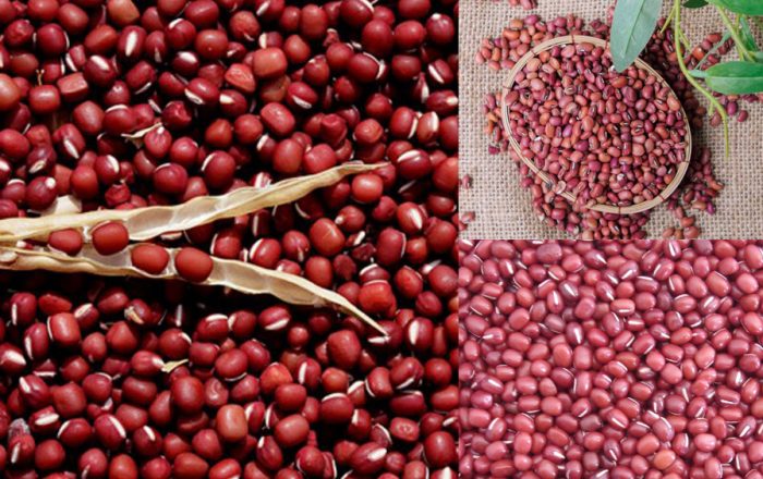 Xích tiểu đậu (đậu đỏ hạt nhỏ) 500Gr