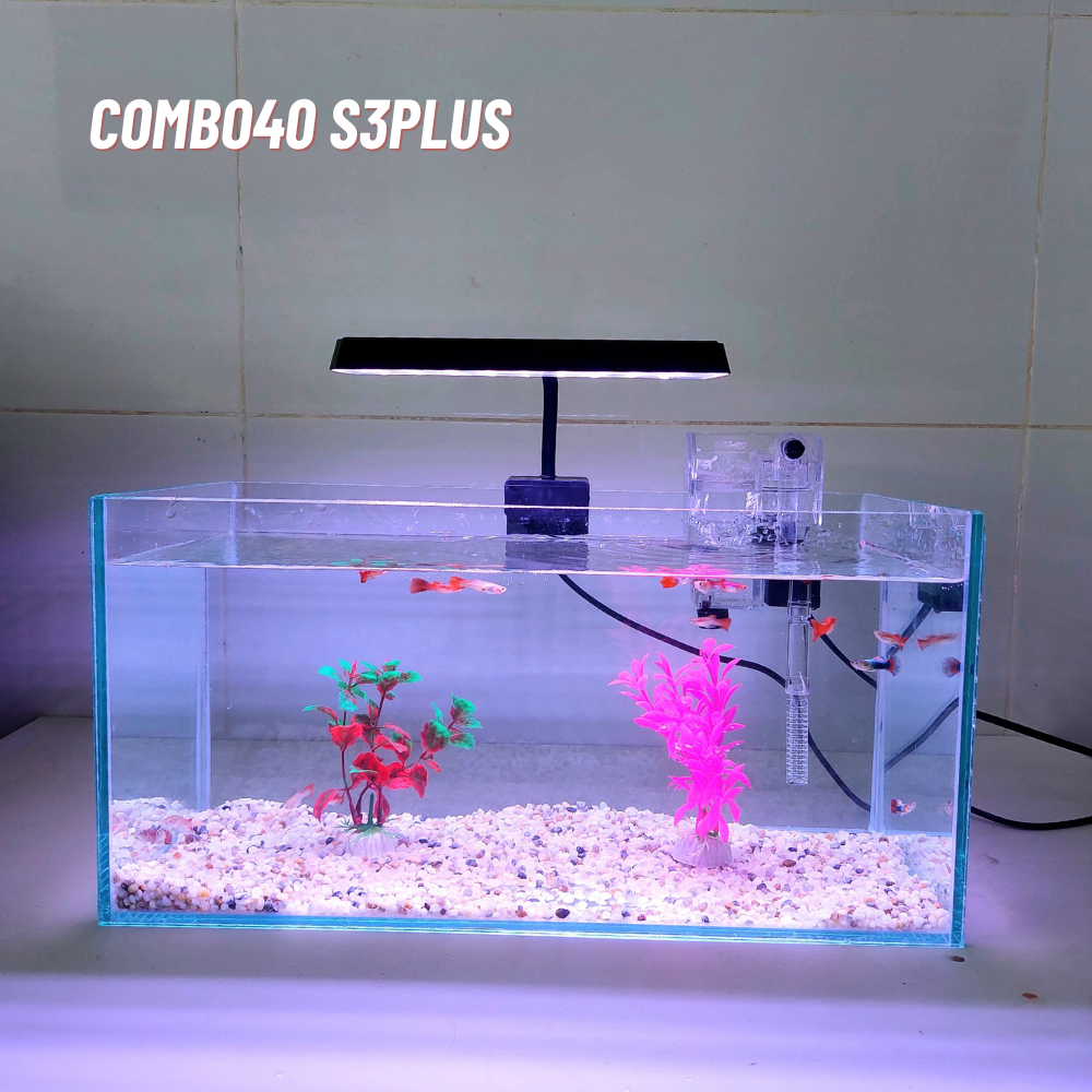 Bể cá mini 40cm COMBO đầy đủ phụ kiện