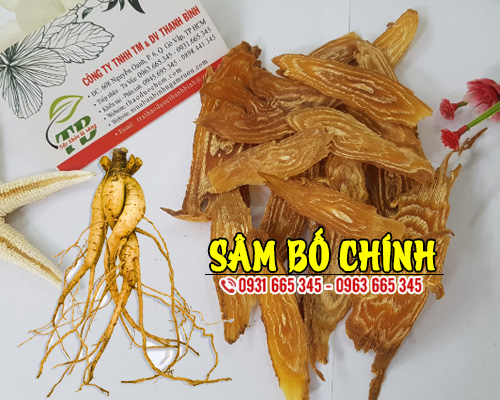 Sâm Bố Chính 1Kg Khô - Thảo Dược Thanh Bình
