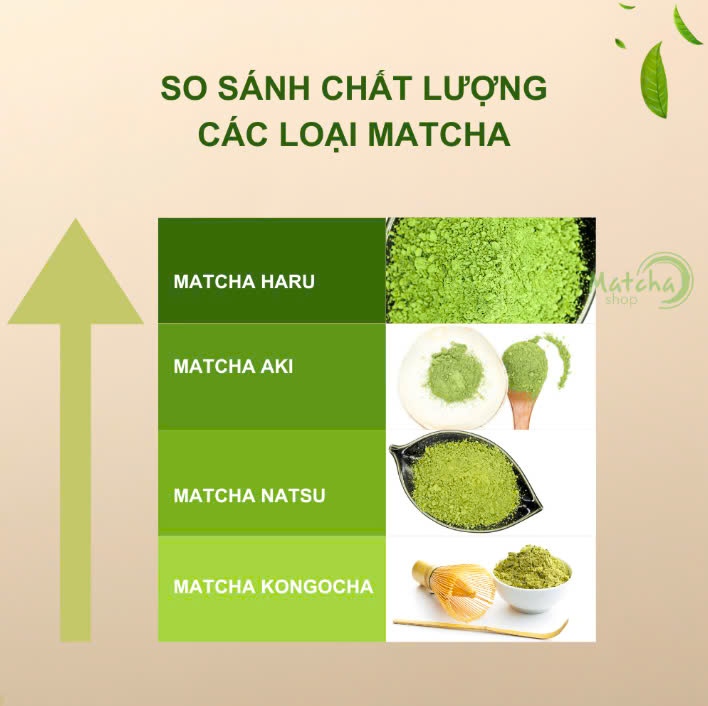 Bột trà xanh Matcha Haru 100gr - Matchashop