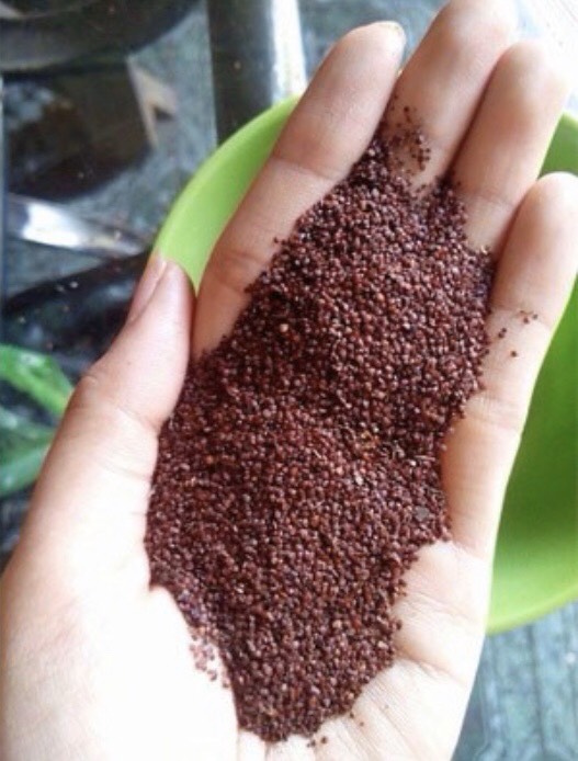 MẶT NẠ NGŨ HOA HẠT GÓI 100G