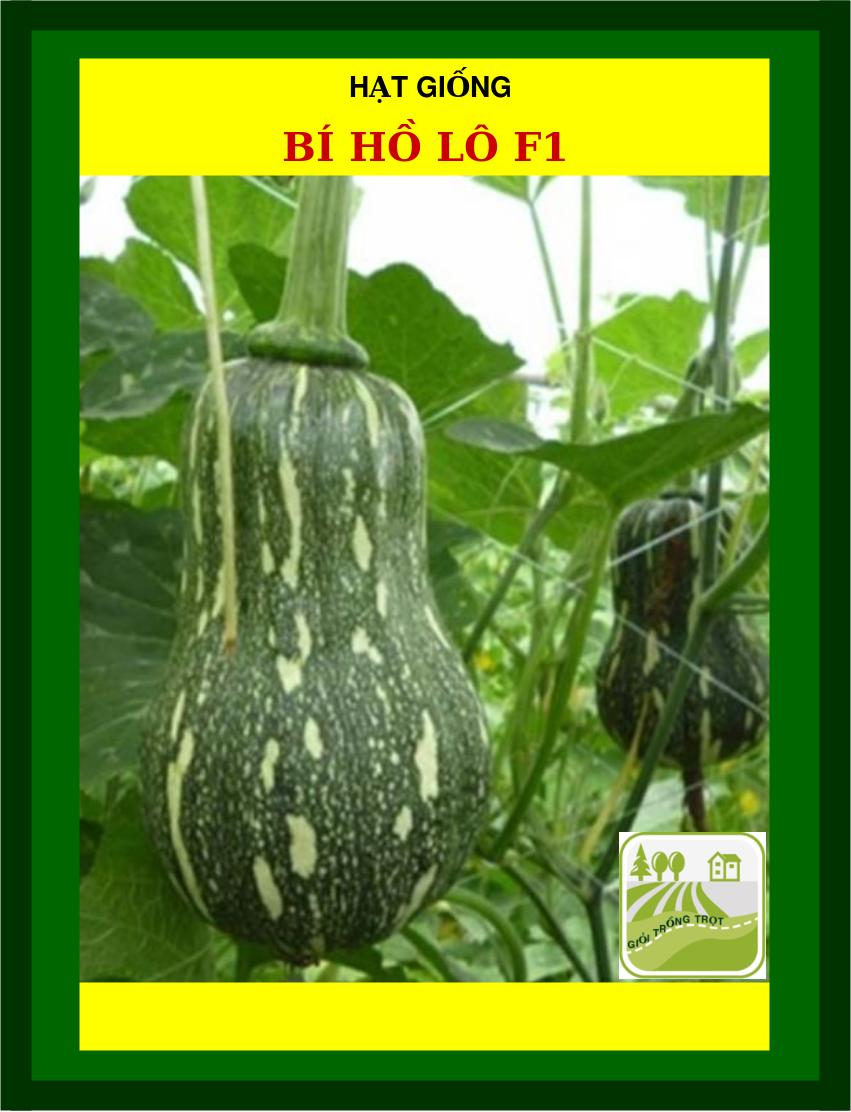 Hạt Giống Bí Hồ Lô - 2Gram