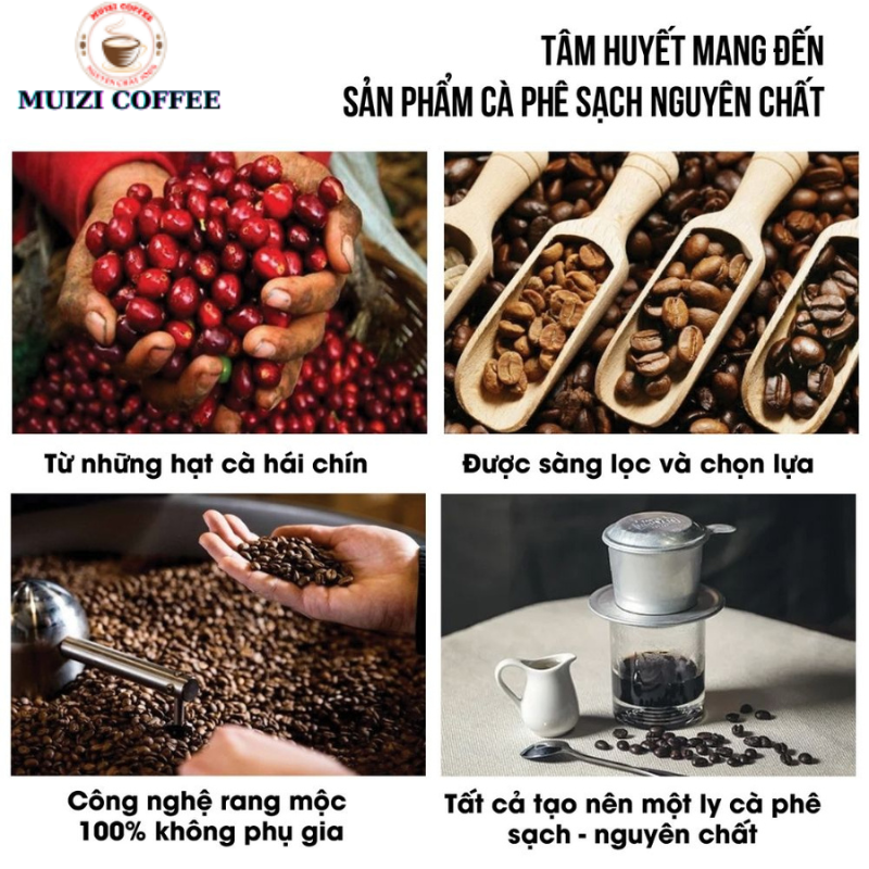 Cà phê hạt nguyên chất, cà phê hạt ROBUSTA 100% Rang Mộc ( 500G )