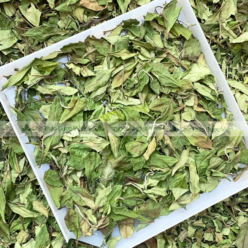 Lá Cẩm Tím Khô 100g - Chợ Thảo Dược Việt