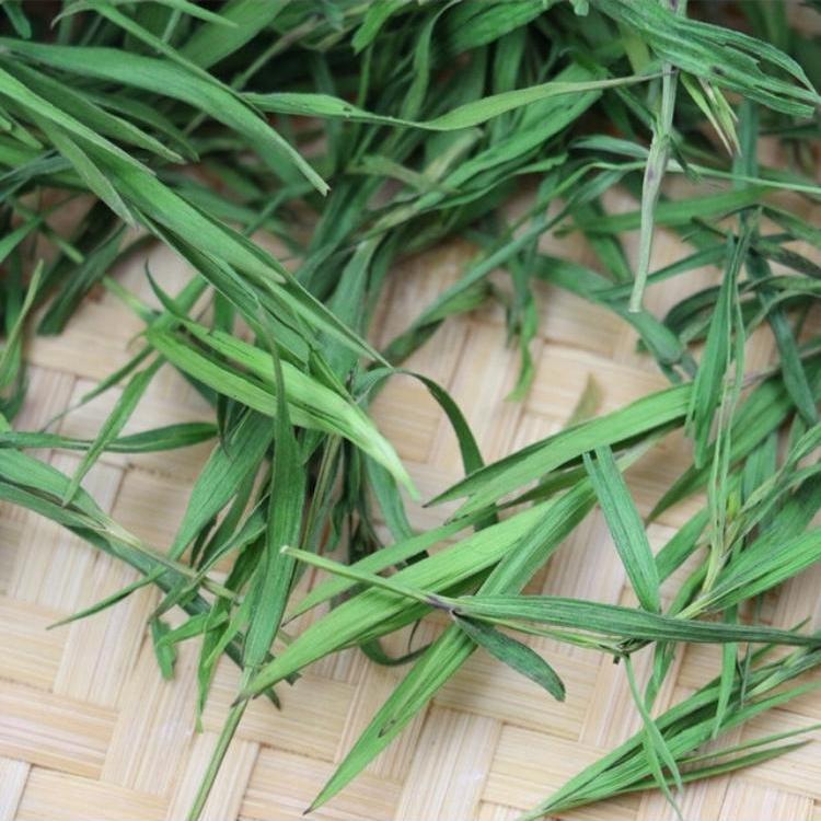 [HCM]Trà Trúc Diệp Bamboo 50G