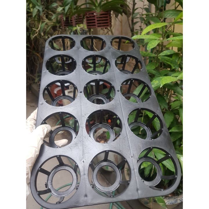 Set 5 khay ươm 15 lỗ kèm chậu 2.5 inch