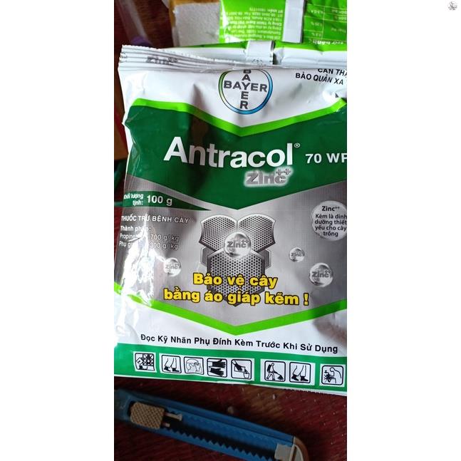 Thuốc trừ nấm bệnh cây trồng antracol - 100 gram - diêt mầm nấm bệnh như thán thư, đốm lá, bệnh ở rễ
