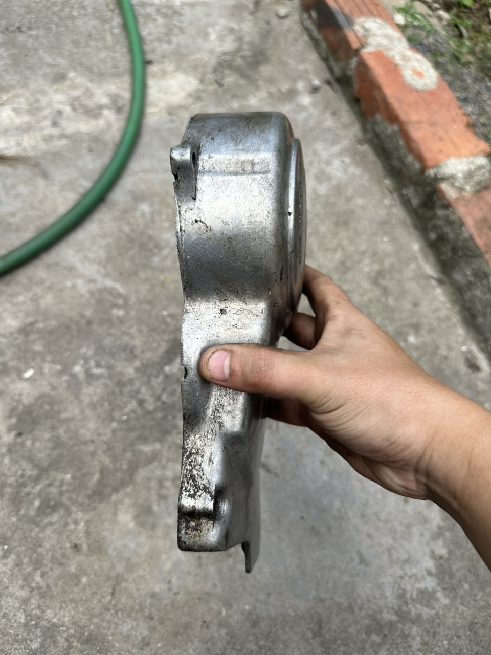 Mang cá honda chaly 81 ( hàng tháo xe)