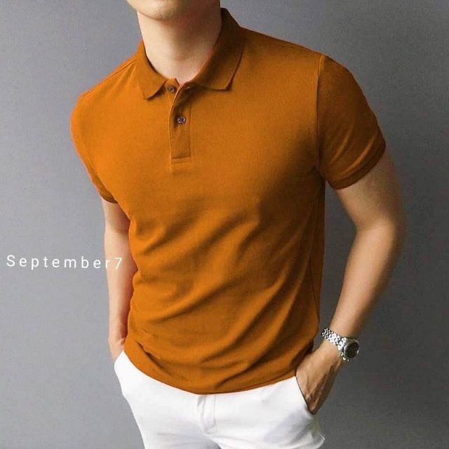 Áo thun POLO nam vải thun lanh cao cấp