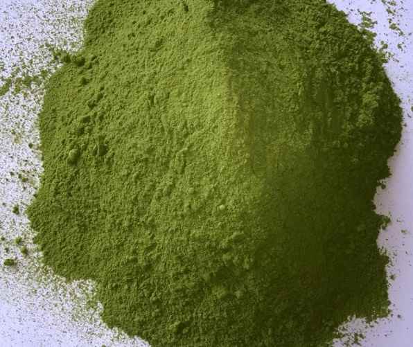 Bột Chùm Ngây Cô Cự 100g