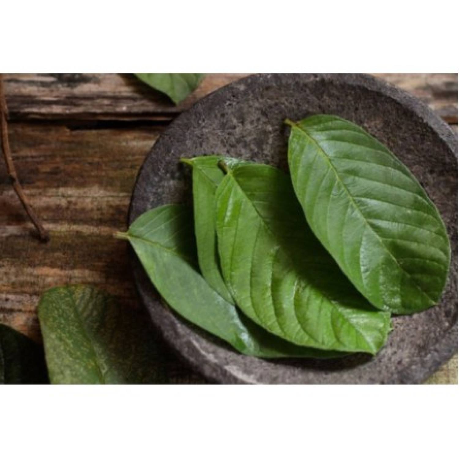 1kg lá ổi khô hàng lᴏại 1