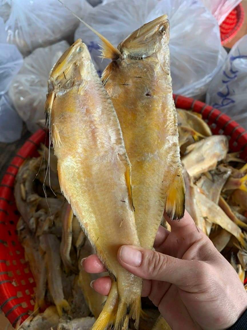 Khô Cá Lẹp Vàng Chất Lượng