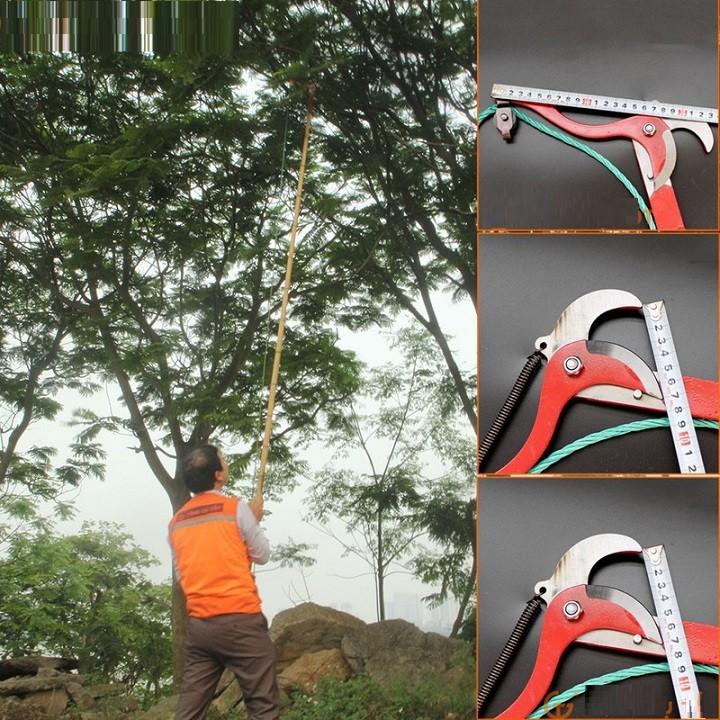 Kéo cưa ,cắt cành trên cao
