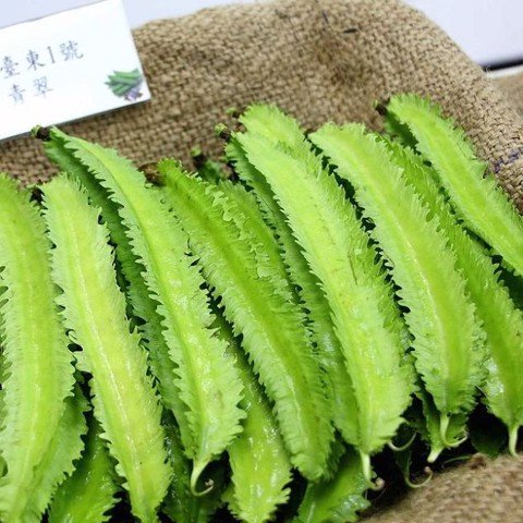Hạt Giống Đậu Rồng ( Đậu Khế)