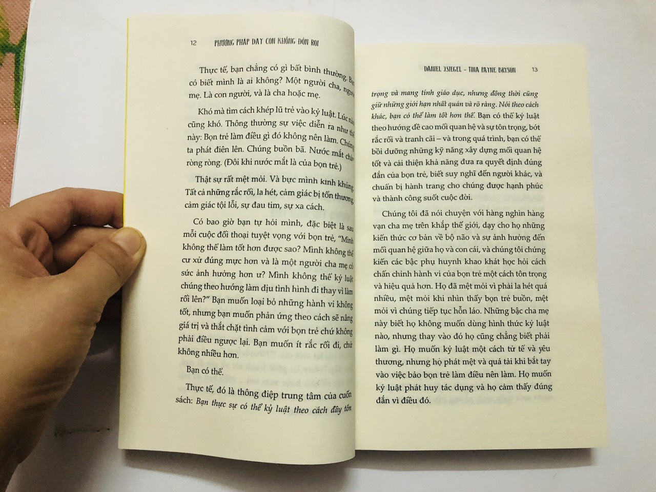 Sách - Phương Pháp Dạy Con Không Đòn Roi