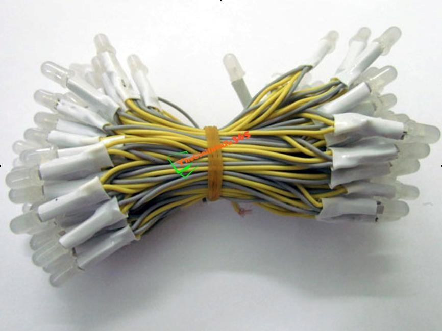 Led liền dây phi 5 màu vàng