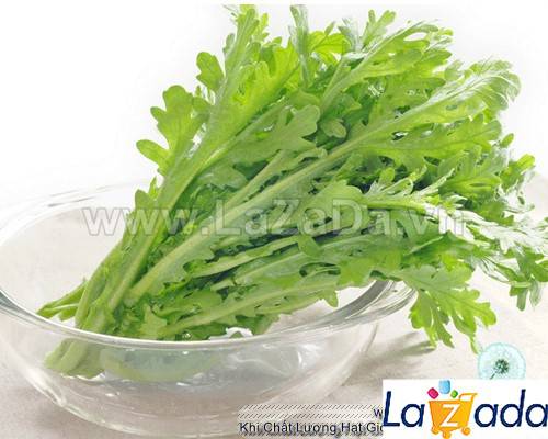 10Gr Hạt Giống Cải Cúc Nếp (A3.403| G7*W55*M038)